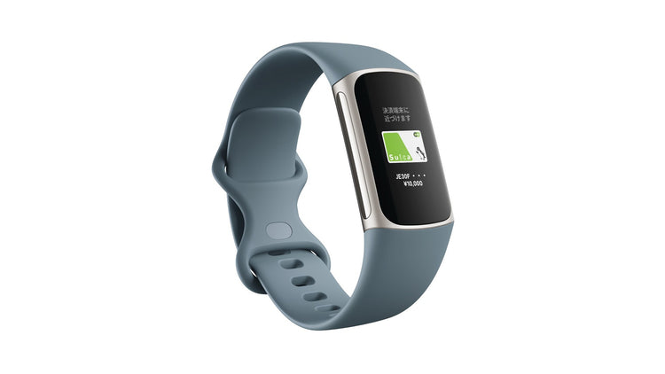 Google Fitbit Charge 5