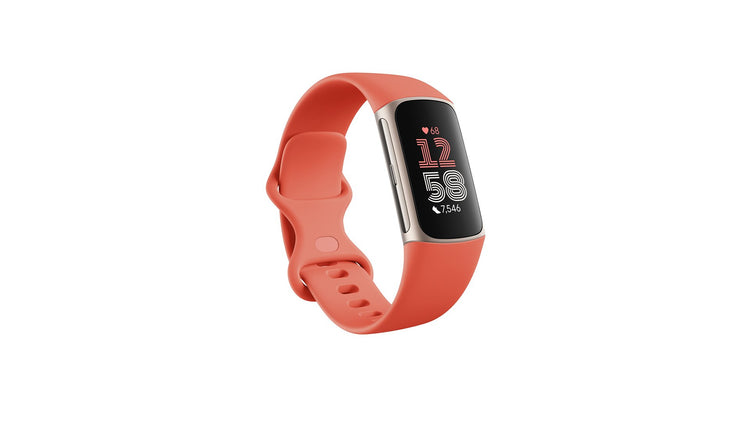 Google Fitbit Charge 6