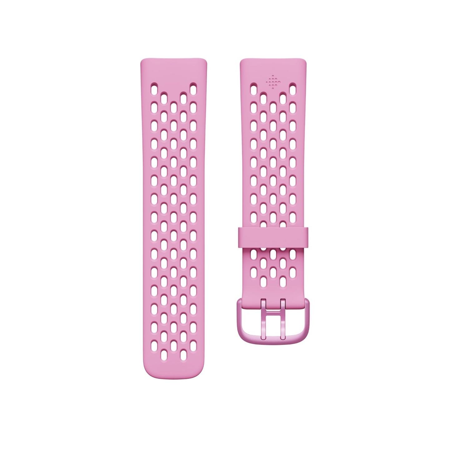 Google Fitbit Charge 6 & Charge 5 用 - スポーツベルト